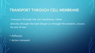 TRANSPORT THROUGH CELL MEMBRANE
Transport through the cell membrane, either
directly through the lipid bilayer or through the proteins, occurs
by one of two
• Diffusion
• Active transport
 