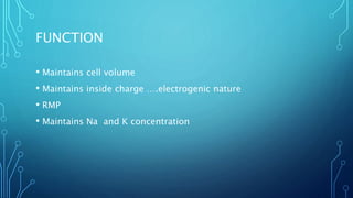 FUNCTION
• Maintains cell volume
• Maintains inside charge ….electrogenic nature
• RMP
• Maintains Na and K concentration
 