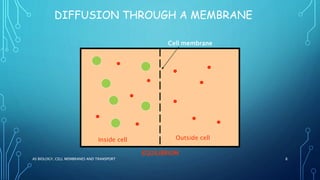 DIFFUSION THROUGH A MEMBRANE
AS BIOLOGY, CELL MEMBRANES AND TRANSPORT 8
Cell membrane
Inside cell Outside cell
EQUILIBRIUM
 