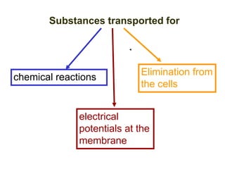 Substances transported for
chemical reactions
electrical
potentials at the
membrane
Elimination from
the cells
 
