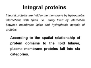 Integral proteins
Integral proteins are held in the membrane by hydrophobic
interactions with lipids, i.e., firmly fixed by interaction
between membrane lipids and hydrophobic domain of
proteins.
According to the spatial relationship of
protein domains to the lipid bilayer,
plasma membrane proteins fall into six
categories.
 