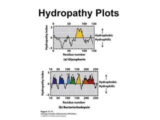 Hydropathy Plots
 