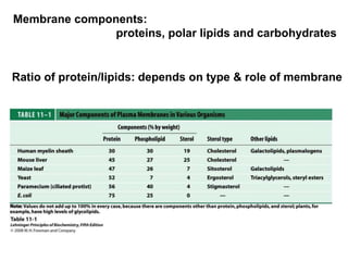 Membrane components:
proteins, polar lipids and carbohydrates
Ratio of protein/lipids: depends on type & role of membrane
 