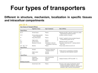 Four types of transporters
Different in structure, mechanism, localization in specific tissues
and intracelluar compartments
 
