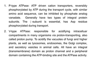 1. P-type ATPase: ATP driven cation transporters, reversibly
phosphorylated by ATP during the transport cycle, with similar
amino acid sequence, can be inhibited by phosphate analog
vanadate. Generally have two types of integral protein
subunits. The  -subunit is essential, has Asp residue
phosphorylated during transport.
2. V-type ATPase: responsible for acidifying intracelluar
compartments in many organisms via proton-transporting, also
called proton pump. To acidify the vacuoles of fungi and higher
plants, as well as lysosomes, endosomes, the Golgi complex,
and secretory vesicles in animal cells. All have an integral
(transmembrane) domain as proton channel and a peripheral
domain containing the ATP-binding site and the ATPase activity.
 