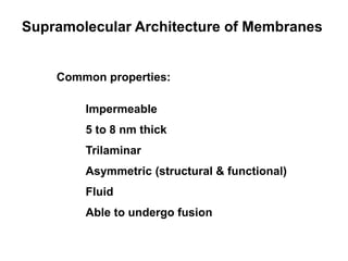 Supramolecular Architecture of Membranes
Common properties:
Impermeable
5 to 8 nm thick
Trilaminar
Asymmetric (structural & functional)
Fluid
Able to undergo fusion
 