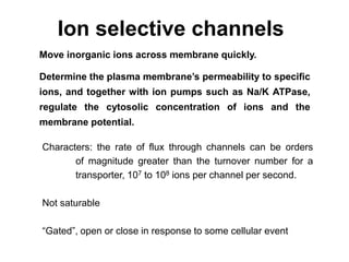 Ion selective channels
Move inorganic ions across membrane quickly.
Determine the plasma membrane’s permeability to specific
ions, and together with ion pumps such as Na/K ATPase,
regulate the cytosolic concentration of ions and the
membrane potential.
Characters: the rate of flux through channels can be orders
of magnitude greater than the turnover number for a
transporter, 107 to 108 ions per channel per second.
Not saturable
“Gated”, open or close in response to some cellular event
 
