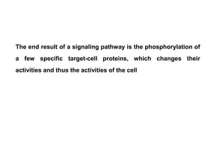The end result of a signaling pathway is the phosphorylation of
a few specific target-cell proteins, which changes their
activities and thus the activities of the cell
 