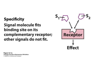 membrane transport.ppt