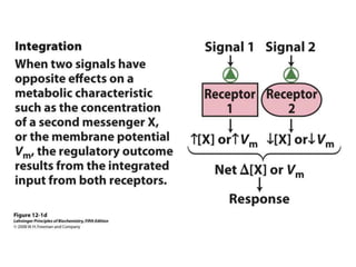 membrane transport.ppt