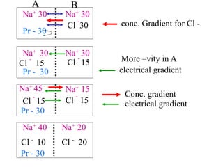 Cell Membrane Transport :Active and Passive | PPT