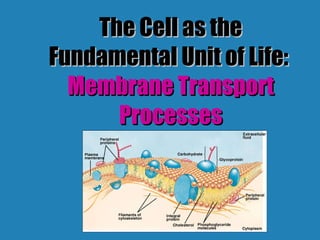 The Cell as the Fundamental Unit of Life:  Membrane Transport Processes 