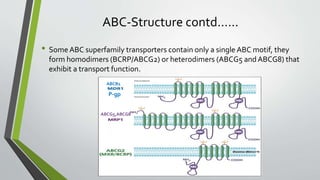 Membrane transporters and drug response | PPTX