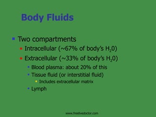 Body Fluids Two compartments Intracellular (~67% of body’s H 2 0) Extracellular (~33% of body’s H 2 0) Blood plasma: about 20% of this Tissue fluid (or interstitial fluid) Includes extracellular matrix Lymph www.freelivedoctor.com 