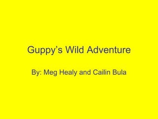 Guppy’s Wild Adventure By: Meg Healy and Cailin Bula 