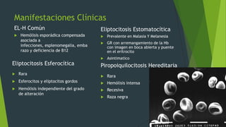 Hb Razo Membranopatias | PPTX