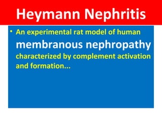 Heymann Nephritis
• An experimental rat model of human
membranous nephropathy
characterized by complement activation
and formation...
 