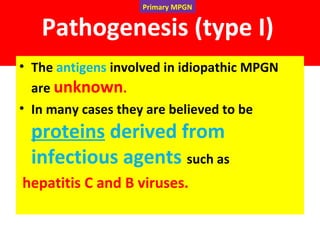 Pathogenesis (type I)
• The antigens involved in idiopathic MPGN
are unknown.
• In many cases they are believed to be
proteins derived from
infectious agents such as
hepatitis C and B viruses.
Primary MPGN
 