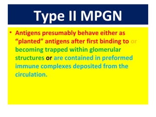 Type II MPGN
• Antigens presumably behave either as
“planted” antigens after first binding to or
becoming trapped within glomerular
structures or are contained in preformed
immune complexes deposited from the
circulation.
 
