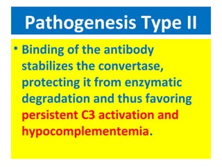 Pathogenesis Type II
• Binding of the antibody
stabilizes the convertase,
protecting it from enzymatic
degradation and thus favoring
persistent C3 activation and
hypocomplementemia.
 