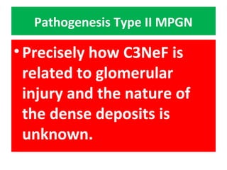 Pathogenesis Type II MPGN
•Precisely how C3NeF is
related to glomerular
injury and the nature of
the dense deposits is
unknown.
 