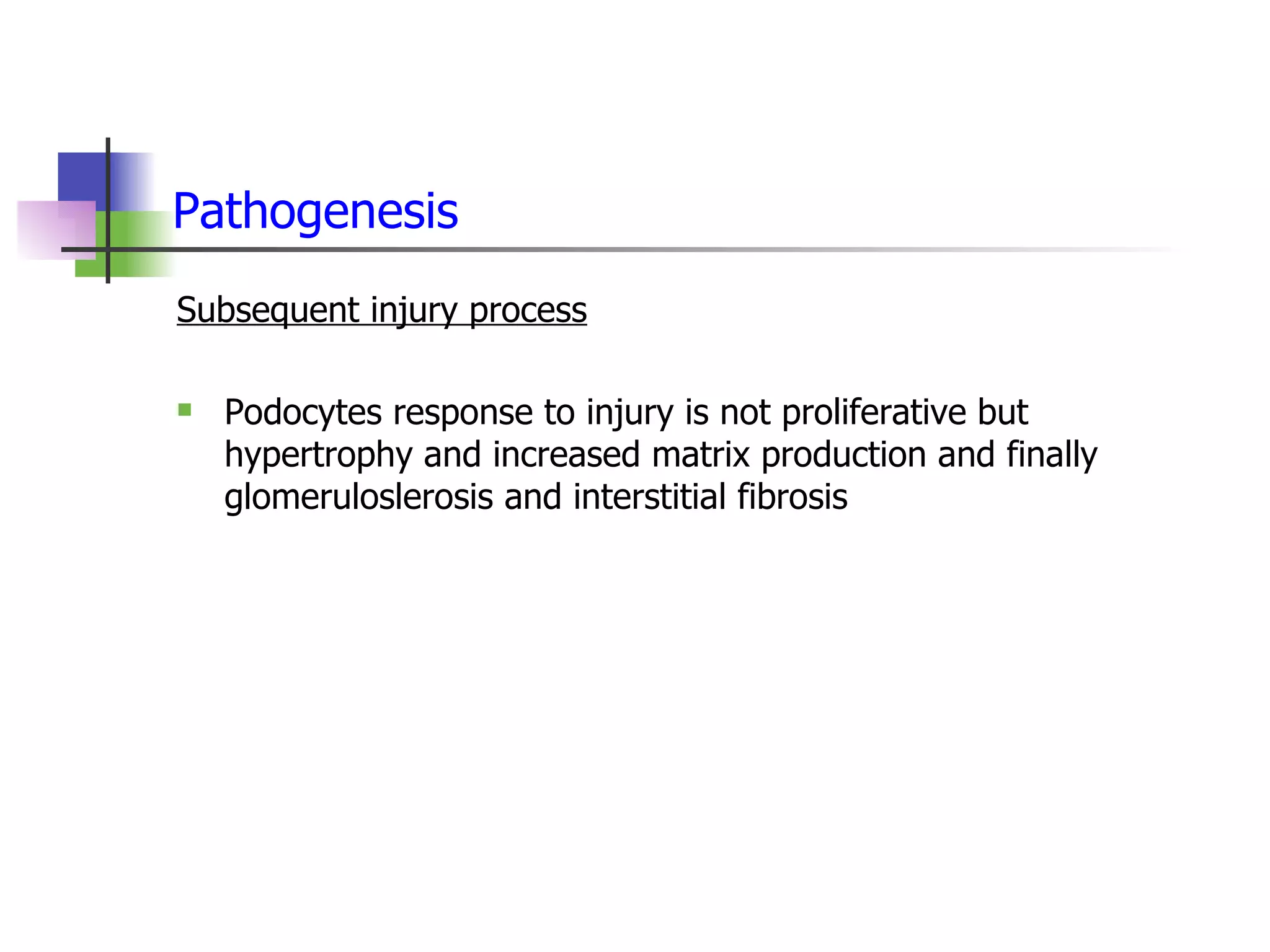 Pathogenesis Subsequent injury process Podocytes response to injury is not proliferative but hypertrophy and increased matrix production and finally glomeruloslerosis and interstitial fibrosis 