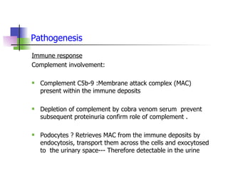 Complement Deposit Rash Membranous Nephropathy | PPT
