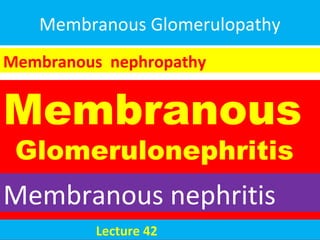 Membranous Glomerulopathy
Membranous
Glomerulonephritis
Membranous nephropathy
Membranous nephritis
Lecture 42
 