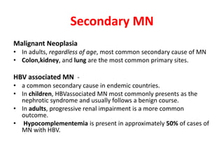 Secondary MN
Malignant Neoplasia
• In adults, regardless of age, most common secondary cause of MN
• Colon,kidney, and lung are the most common primary sites.
HBV associated MN -
• a common secondary cause in endemic countries.
• In children, HBVassociated MN most commonly presents as the
nephrotic syndrome and usually follows a benign course.
• In adults, progressive renal impairment is a more common
outcome.
• Hypocomplementemia is present in approximately 50% of cases of
MN with HBV.
 