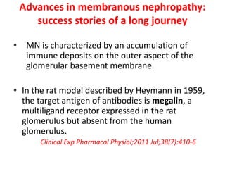Advances in membranous nephropathy:
success stories of a long journey
• MN is characterized by an accumulation of
immune deposits on the outer aspect of the
glomerular basement membrane.
• In the rat model described by Heymann in 1959,
the target antigen of antibodies is megalin, a
multiligand receptor expressed in the rat
glomerulus but absent from the human
glomerulus.
Clinical Exp Pharmacol Physiol;2011 Jul;38(7):410-6
 