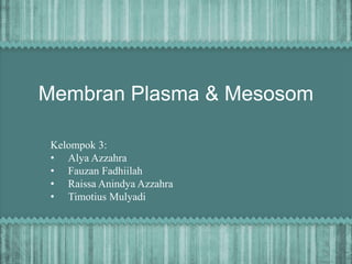 Membran Plasma & Mesosom
Kelompok 3:
• Alya Azzahra
• Fauzan Fadhiilah
• Raissa Anindya Azzahra
• Timotius Mulyadi
 