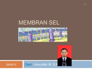 MEMBRAN SEL
Oleh : Amrullah M, S.Pd28/09/13
1
 