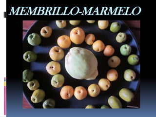MEMBRILLO-MARMELO 
