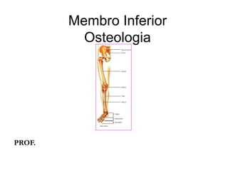 Membro Inferior
Osteologia
PROF.
 