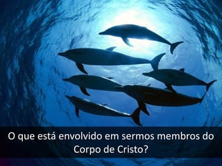 O que está envolvido em sermos membros do
Corpo de Cristo?
 