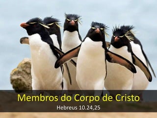 Membros do Corpo de Cristo
Hebreus 10.24,25
 