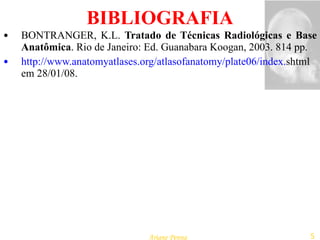 BIBLIOGRAFIA BONTRANGER, K.L . Tratado de Técnicas Radiológicas e Base Anatômica . Rio de Janeiro: Ed. Guanabara Koogan, 2003. 814 pp. http://www.anatomyatlases.org/atlasofanatomy/plate06/index . shtml em 28/01/08.