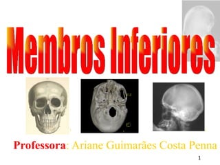 [object Object],Membros Inferiores 1 3 2 