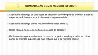  Apenas no antebraço os dois ossos se articulam com o segmento proximal e apenas
na perna os dois ossos se articulem com o segmento distal;
 Apenas no antebraço ocorre movimento dos ossos entre si;
 Carpo (8) com número semelhante de ossos do Tarso(7);
 Os dedos são a parte mais móvel do membro superior, sendo que todas as outras
partes do membro superior são mais móveis que a do membro inferior;
COMPARAÇÃO COM O MEMBRO INFERIOR:3
 