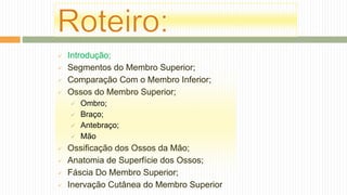  Introdução;
 Segmentos do Membro Superior;
 Comparação Com o Membro Inferior;
 Ossos do Membro Superior;
 Ombro;
 Braço;
 Antebraço;
 Mão
 Ossificação dos Ossos da Mão;
 Anatomia de Superfície dos Ossos;
 Fáscia Do Membro Superior;
 Inervação Cutânea do Membro Superior
 