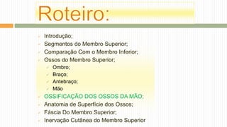  Introdução;
 Segmentos do Membro Superior;
 Comparação Com o Membro Inferior;
 Ossos do Membro Superior;
 Ombro;
 Braço;
 Antebraço;
 Mão
 OSSIFICAÇÃO DOS OSSOS DA MÃO;
 Anatomia de Superfície dos Ossos;
 Fáscia Do Membro Superior;
 Inervação Cutânea do Membro Superior
 