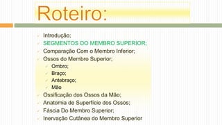  Introdução;
 SEGMENTOS DO MEMBRO SUPERIOR;
 Comparação Com o Membro Inferior;
 Ossos do Membro Superior;
 Ombro;
 Braço;
 Antebraço;
 Mão
 Ossificação dos Ossos da Mão;
 Anatomia de Superfície dos Ossos;
 Fáscia Do Membro Superior;
 Inervação Cutânea do Membro Superior
 