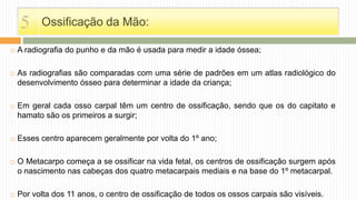 Ossificação da Mão:
 A radiografia do punho e da mão é usada para medir a idade óssea;
 As radiografias são comparadas com uma série de padrões em um atlas radiológico do
desenvolvimento ósseo para determinar a idade da criança;
 Em geral cada osso carpal têm um centro de ossificação, sendo que os do capitato e
hamato são os primeiros a surgir;
 Esses centro aparecem geralmente por volta do 1º ano;
 O Metacarpo começa a se ossificar na vida fetal, os centros de ossificação surgem após
o nascimento nas cabeças dos quatro metacarpais mediais e na base do 1º metacarpal.
 Por volta dos 11 anos, o centro de ossificação de todos os ossos carpais são visíveis.
5
 