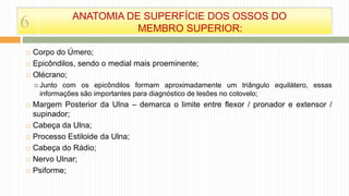  Corpo do Úmero;
 Epicôndilos, sendo o medial mais proeminente;
 Olécrano;
 Junto com os epicôndilos formam aproximadamente um triângulo equilátero, essas
informações são importantes para diagnóstico de lesões no cotovelo;
 Margem Posterior da Ulna – demarca o limite entre flexor / pronador e extensor /
supinador;
 Cabeça da Ulna;
 Processo Estiloide da Ulna;
 Cabeça do Rádio;
 Nervo Ulnar;
 Psiforme;
6 ANATOMIA DE SUPERFÍCIE DOS OSSOS DO
MEMBRO SUPERIOR:
 