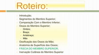  Introdução;
 Segmentos do Membro Superior;
 Comparação Com o Membro Inferior;
 Ossos do Membro Superior;
 Ombro;
 Braço;
 Antebraço;
 Mão
 Ossificação dos Ossos da Mão;
 Anatomia de Superfície dos Ossos;
 FÁSCIA DO MEMBRO SUPERIOR;
 Inervação Cutânea do Membro Superior
 