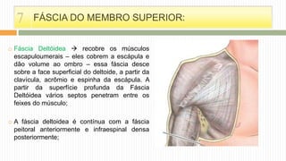  Fáscia Deltóidea  recobre os músculos
escapuloumerais – eles cobrem a escápula e
dão volume ao ombro – essa fáscia desce
sobre a face superficial do deltoide, a partir da
clavícula, acrômio e espinha da escápula. A
partir da superfície profunda da Fáscia
Deltóidea vários septos penetram entre os
feixes do músculo;
 A fáscia deltoidea é contínua com a fáscia
peitoral anteriormente e infraespinal densa
posteriormente;
FÁSCIA DO MEMBRO SUPERIOR:7
 