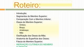  Introdução;
 Segmentos do Membro Superior;
 Comparação Com o Membro Inferior;
 Ossos do Membro Superior;
 Ombro;
 Braço;
 Antebraço;
 Mão
 Ossificação dos Ossos da Mão;
 Anatomia de Superfície dos Ossos;
 Fáscia do Membro Superior;
 INERVAÇÃO CUTÂNEA DO MEMBRO
 