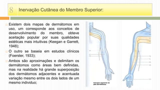 Inervação Cutânea do Membro Superior:
 Existem dois mapas de dermátomos em
uso, um corresponde aos conceitos de
desenvolvimento do membro, obteve
aceitação popular por suas qualidades
estéticas mais intuitivas (Keegan e Garrett,
1948);
 O outro se baseia em estudos clínicos
(Foerster, 1933);
 Ambos são aproximações e delimitam os
dermátomos como áreas bem definidas,
mas na realidade há grande superposição
dos dermátomos adjacentes e acentuada
variação mesmo entre os dois lados de um
mesmo individuo;
8
 