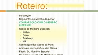  Introdução;
 Segmentos do Membro Superior;
 COMPARAÇÃO COM O MEMBRO
INFERIOR;
 Ossos do Membro Superior;
 Ombro;
 Braço;
 Antebraço;
 Mão
 Ossificação dos Ossos da Mão;
 Anatomia de Superfície dos Ossos;
 Fáscia Do Membro Superior;
 