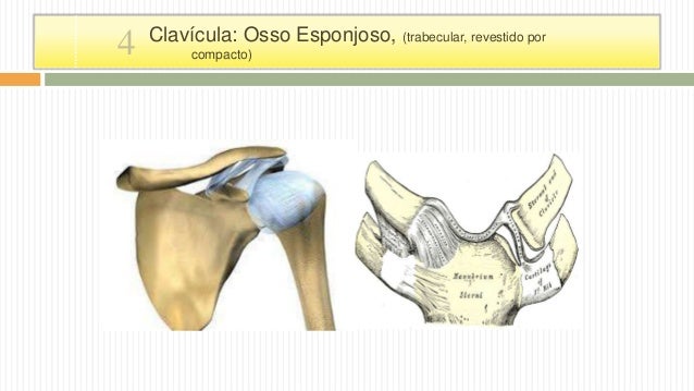 Que fazer-me com um pequeno pênis